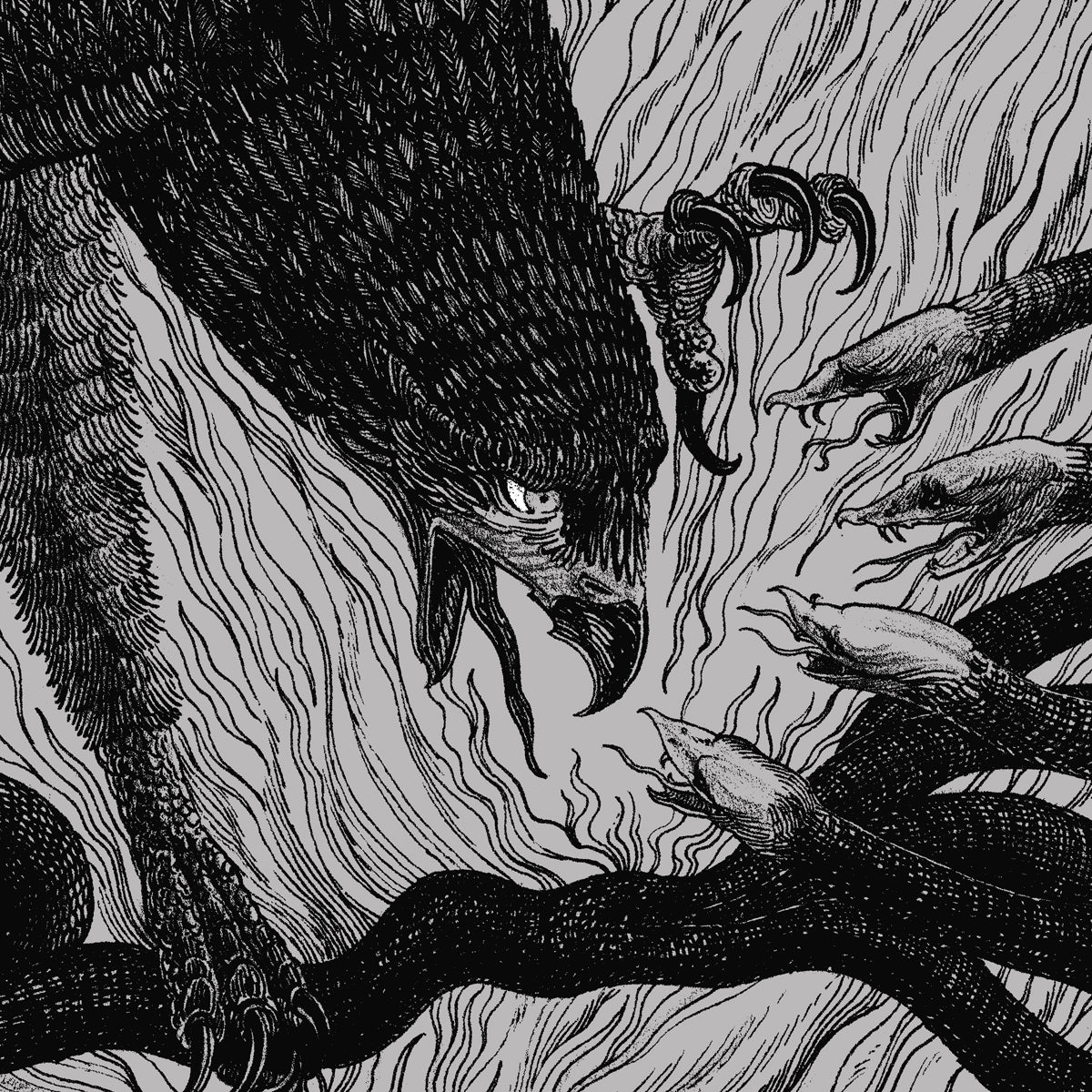 Pantera Memphis February 10, 2024