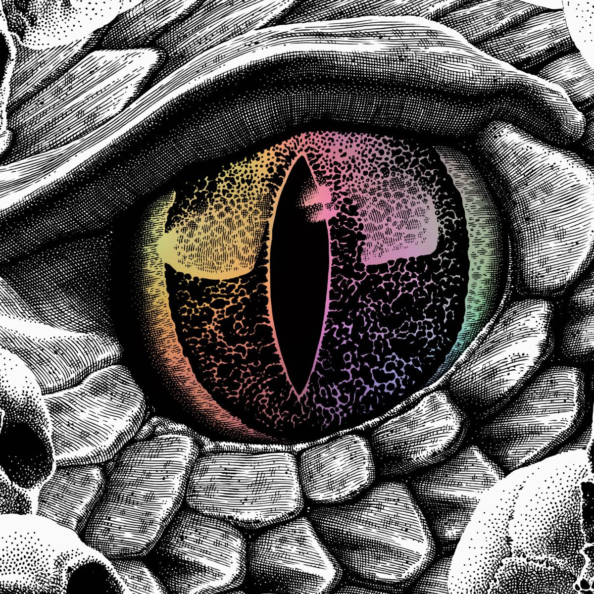 Pantera Lexington February 07, 2024 (Rainbow Foil)