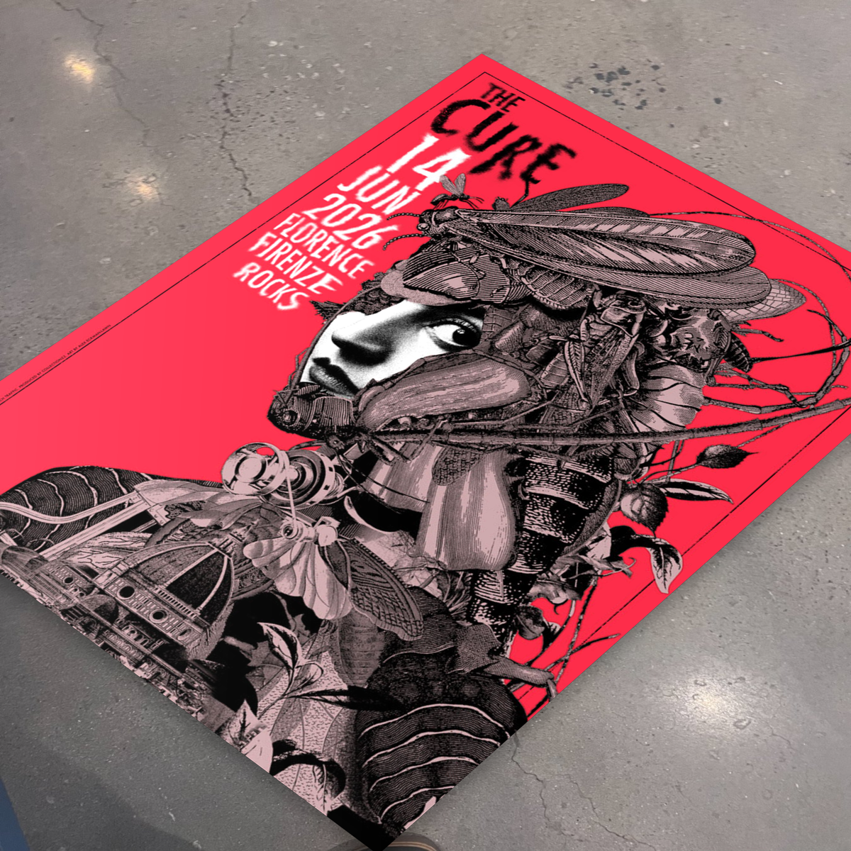 Flat lay on studio floor