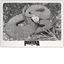 Cotton Rag XL Variant