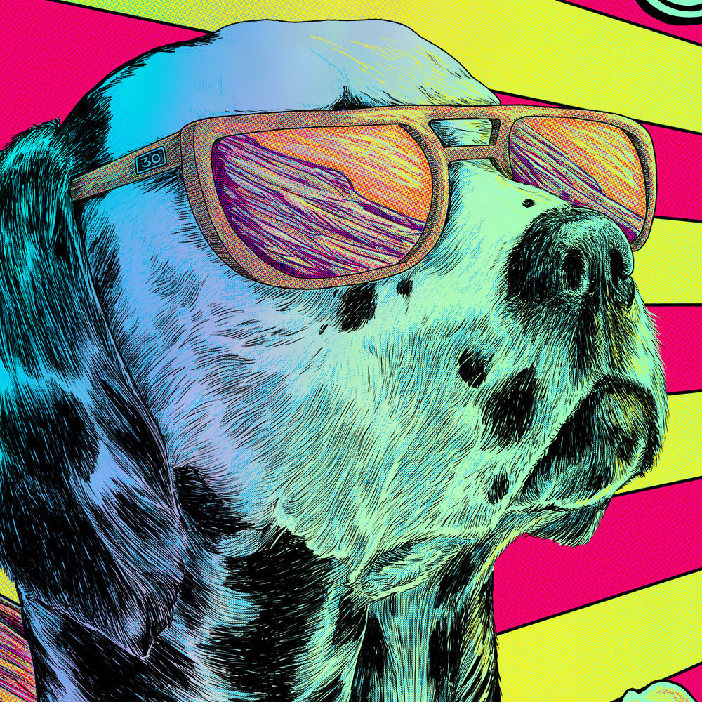 Sublime Denver April 17, 2026 (Rainbow Foil Edition)